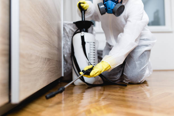 Best Pest Control Near Me  in North St Paul, MN