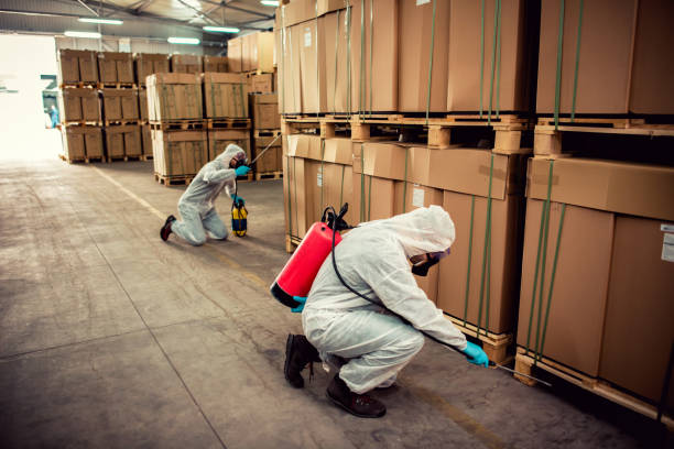 Best Best Pest Control Companies  in North St Paul, MN