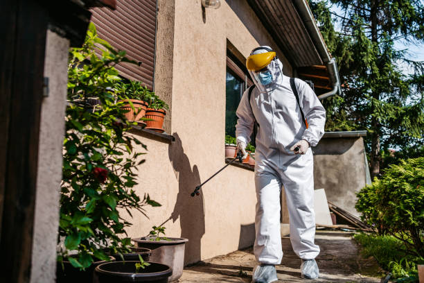 Best Flea Control Services  in North St Paul, MN