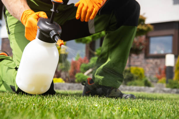 Best Cockroach Control Services  in North St Paul, MN