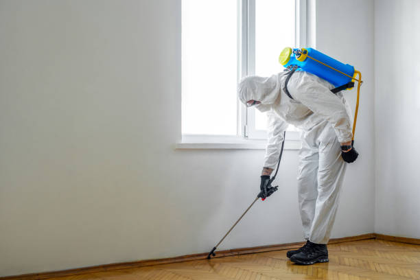 Best Ant Control Services  in North St Paul, MN