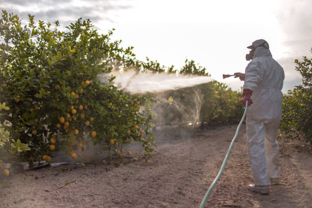 Best Best Pest Control Companies  in North St Paul, MN