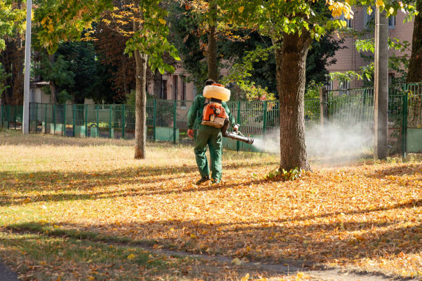  North St Paul, MN Pest Control Pros